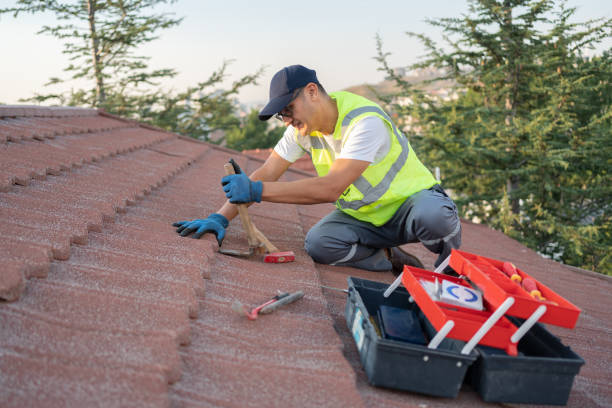 Best Roof Gutter Cleaning  in Montgomery, IN