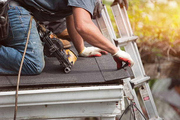 Best New Roof Installation  in Montgomery, IN